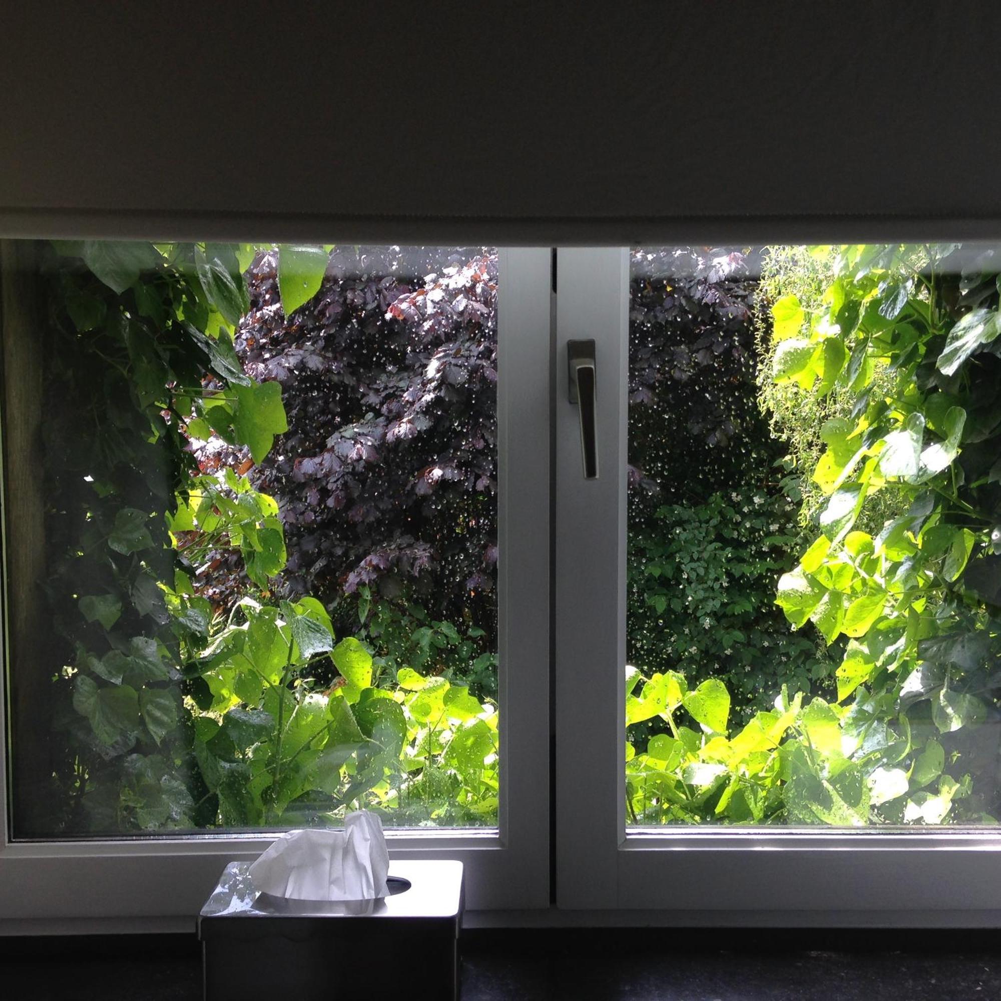 B&B Matin Tranquille Liege Bagian luar foto